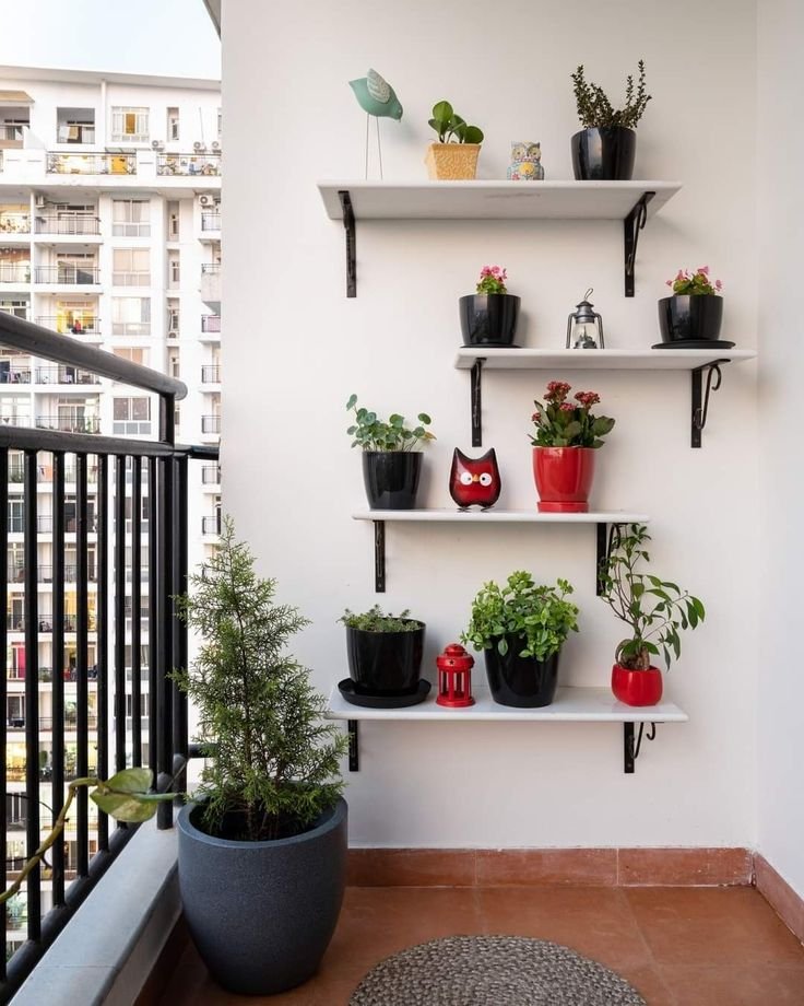 Plantoori Instagram