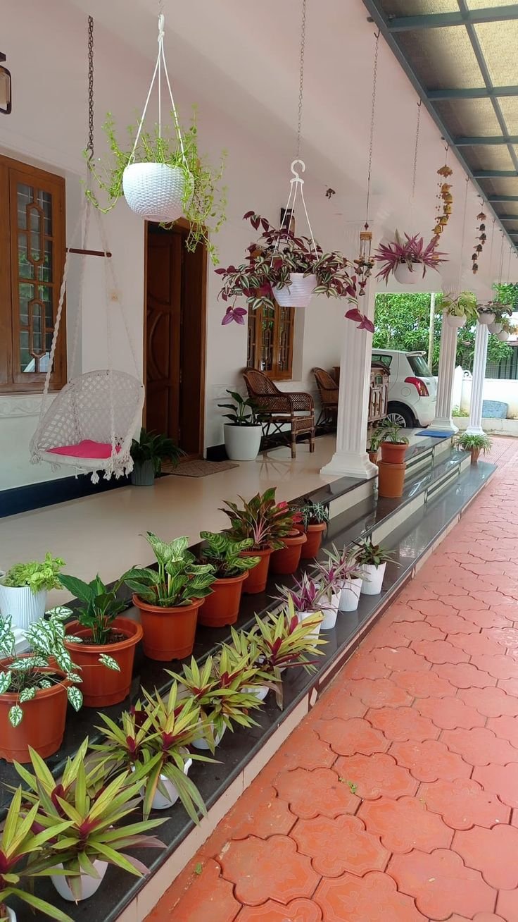 Plantoori Instagram